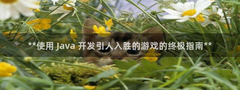 沐鸣2联盟