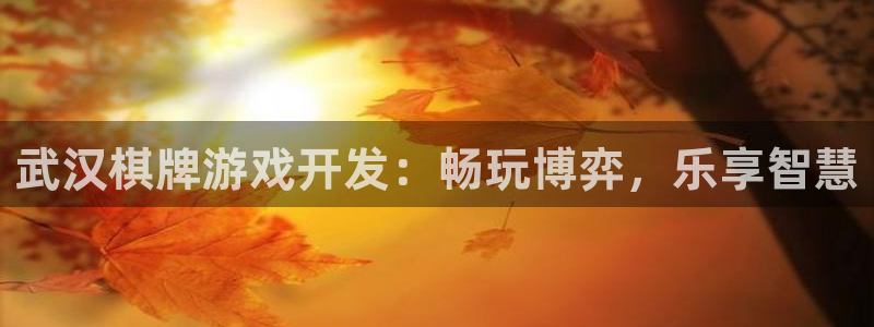 沐鸣娱乐2官方网站注册链接：武汉棋牌游戏开发：畅玩博弈，乐享智慧