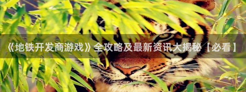 沐鸣2注册平台：《地铁开发商游戏》全攻略及最新资讯大揭秘【必看】