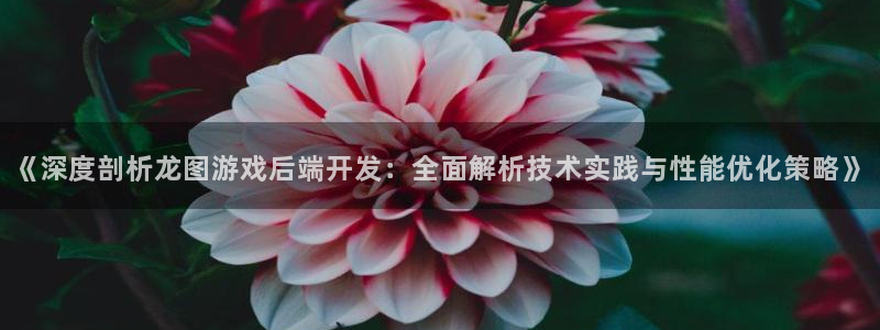 沐鸣娱乐2手机下载官网：《深度剖析龙图游戏后端开发：全面解析技术实践与性能优化策略》