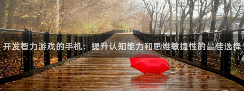 沐鸣娱乐2上来77542：开发智力游戏的手机：提升认知能力和思维敏捷性的最佳选择