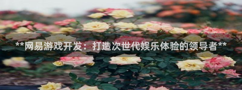 沐鸣娱乐2l怎么样：**网易游戏开发：打造次世代娱乐体验的领导者**