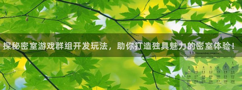 沐鸣娱乐2如何找回密码：探秘密室游戏群组开发玩法，助你打造独具魅力的密室体验！