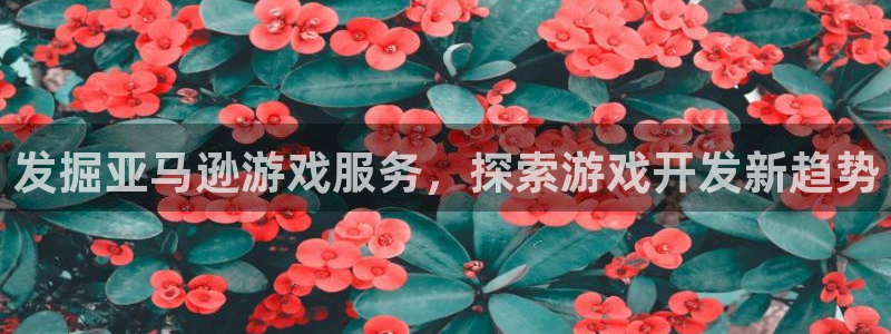 沐鸣2平台官方注册登录：发掘亚马逊游戏服务，探索游戏开发新趋势